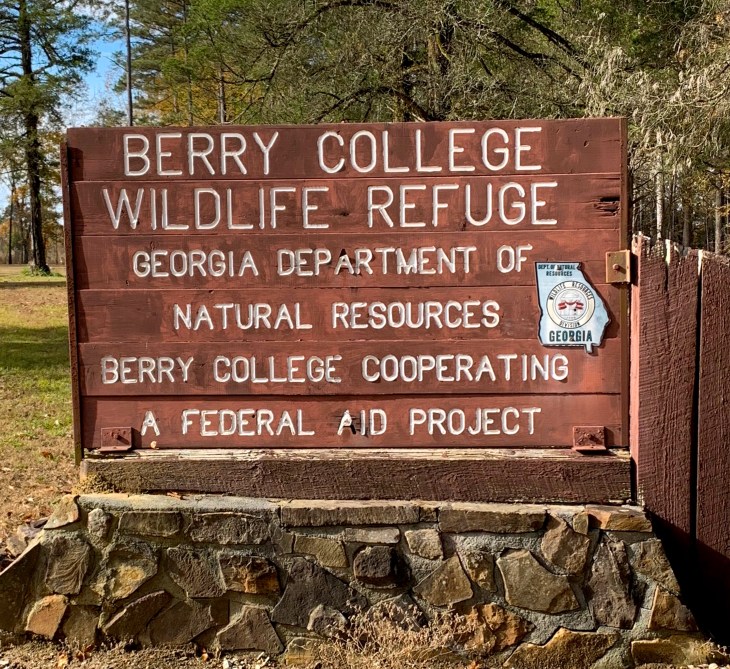 Establishing Shot Berry